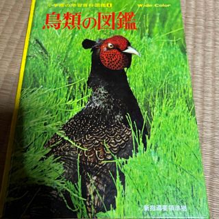 ショウガクカン(小学館)の鳥類の図鑑　小学館の学習百科図鑑4(語学/参考書)