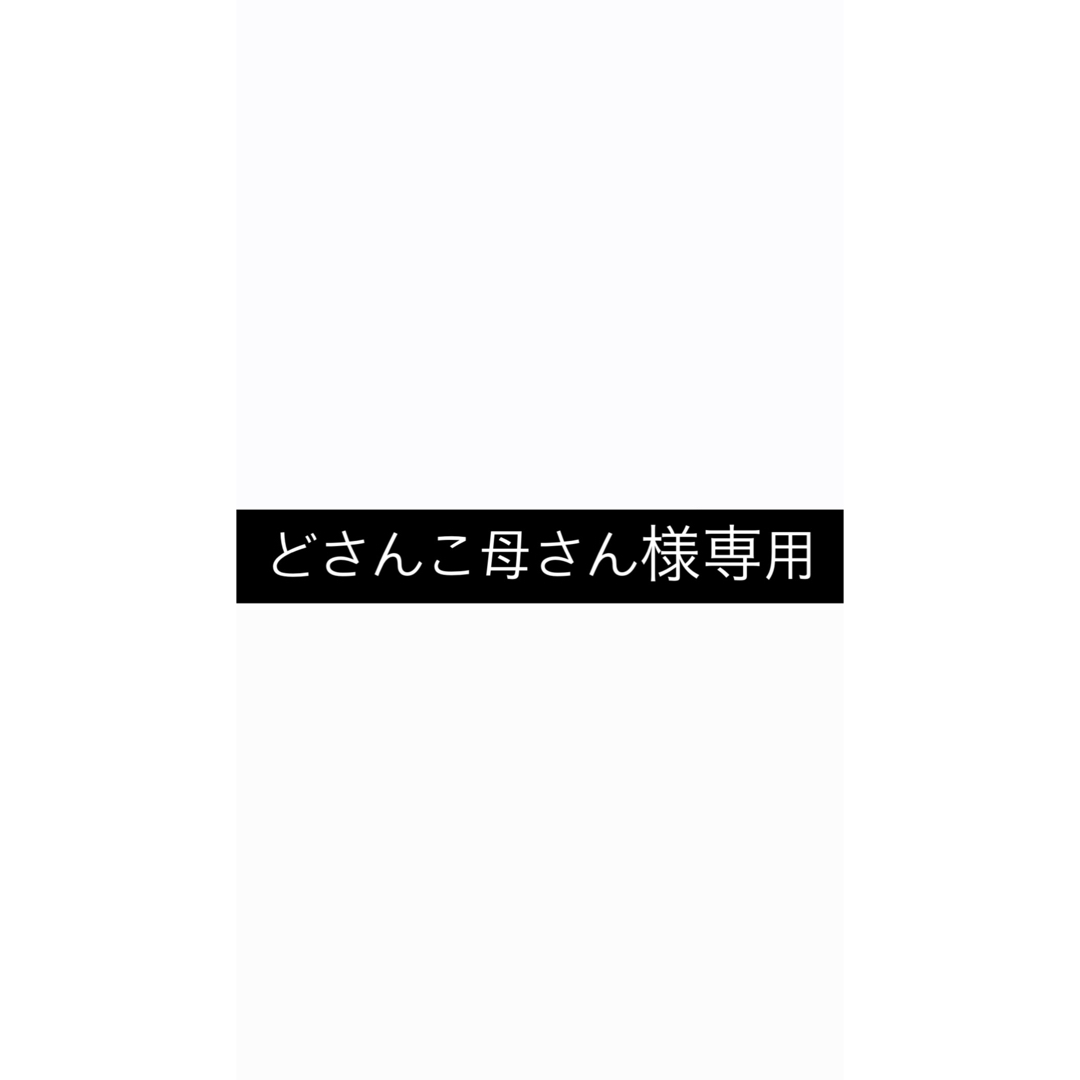 どさんこ母さん様専用 ハンドメイドの素材/材料(生地/糸)の商品写真