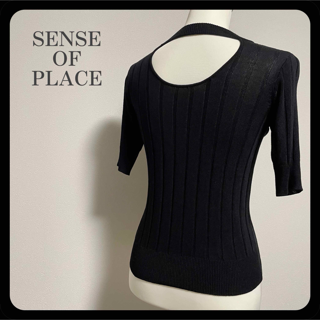 SENSE OF PLACE by URBAN RESEARCH(センスオブプレイスバイアーバンリサーチ)の【美品】センスオブプレイス バックオープン リブ サマーニット ブラック 黒 レディースのトップス(カットソー(半袖/袖なし))の商品写真