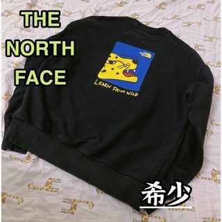 ザノースフェイス(THE NORTH FACE)のノースフェイス　スウェット　トレーナー　裏起毛　韓国　黒(パーカー)