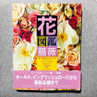 花図鑑 (薔薇) (草土花図鑑シリーズ 5)　初版(趣味/スポーツ/実用)