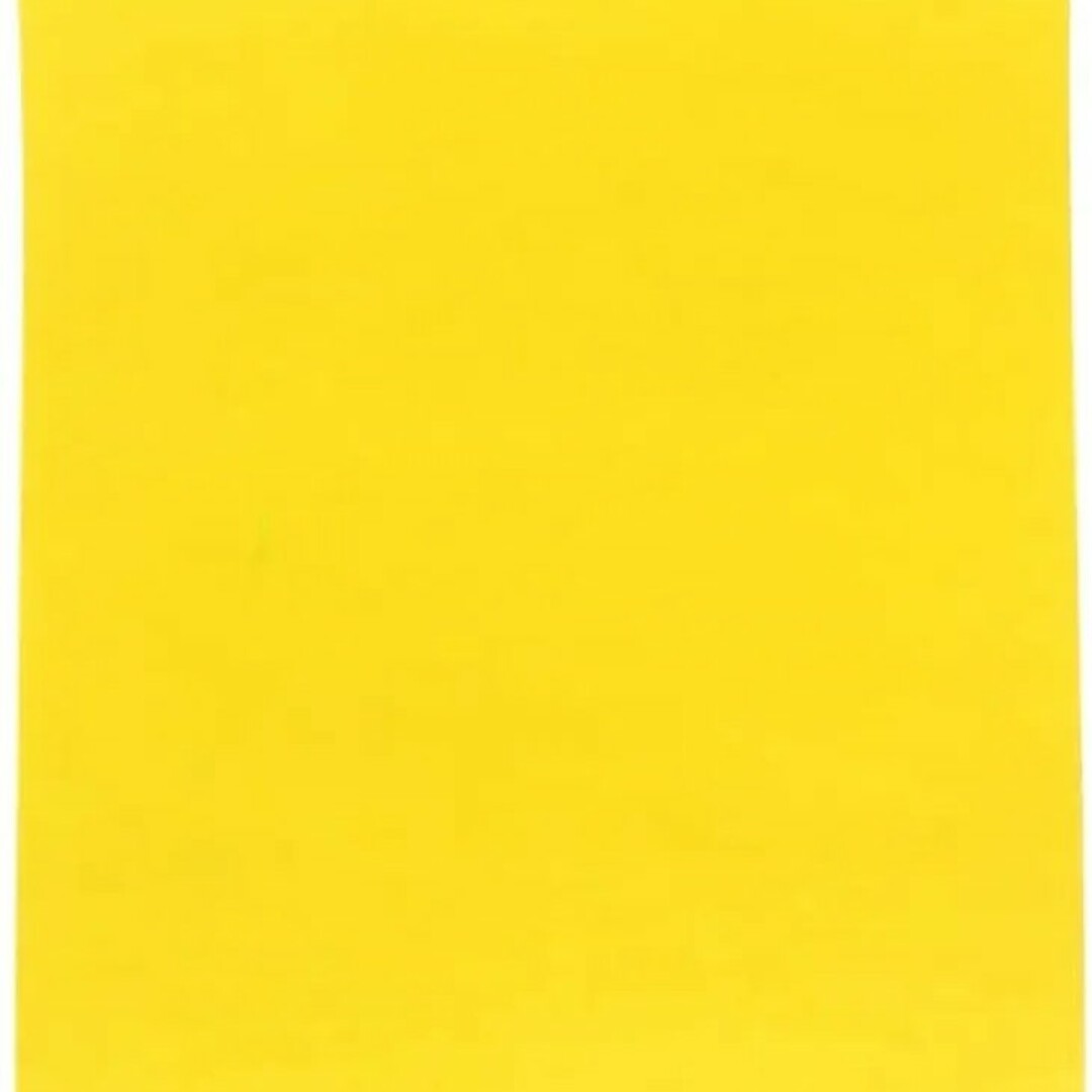 黄色い紙 エンタメ/ホビーのアート用品(その他)の商品写真