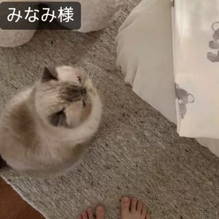 みなみ様専用(その他)