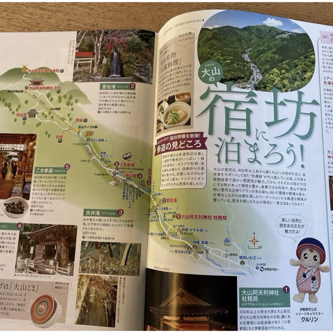 2種 るるぶ 大山宿坊体験 日本遺産 神奈川県伊勢原市ほか エンタメ/ホビーの本(地図/旅行ガイド)の商品写真