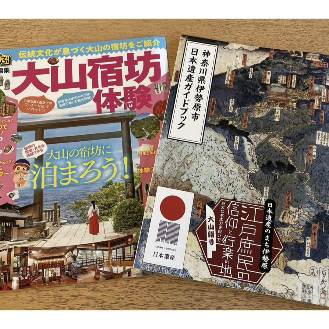 2種 るるぶ 大山宿坊体験 日本遺産 神奈川県伊勢原市ほか エンタメ/ホビーの本(地図/旅行ガイド)の商品写真