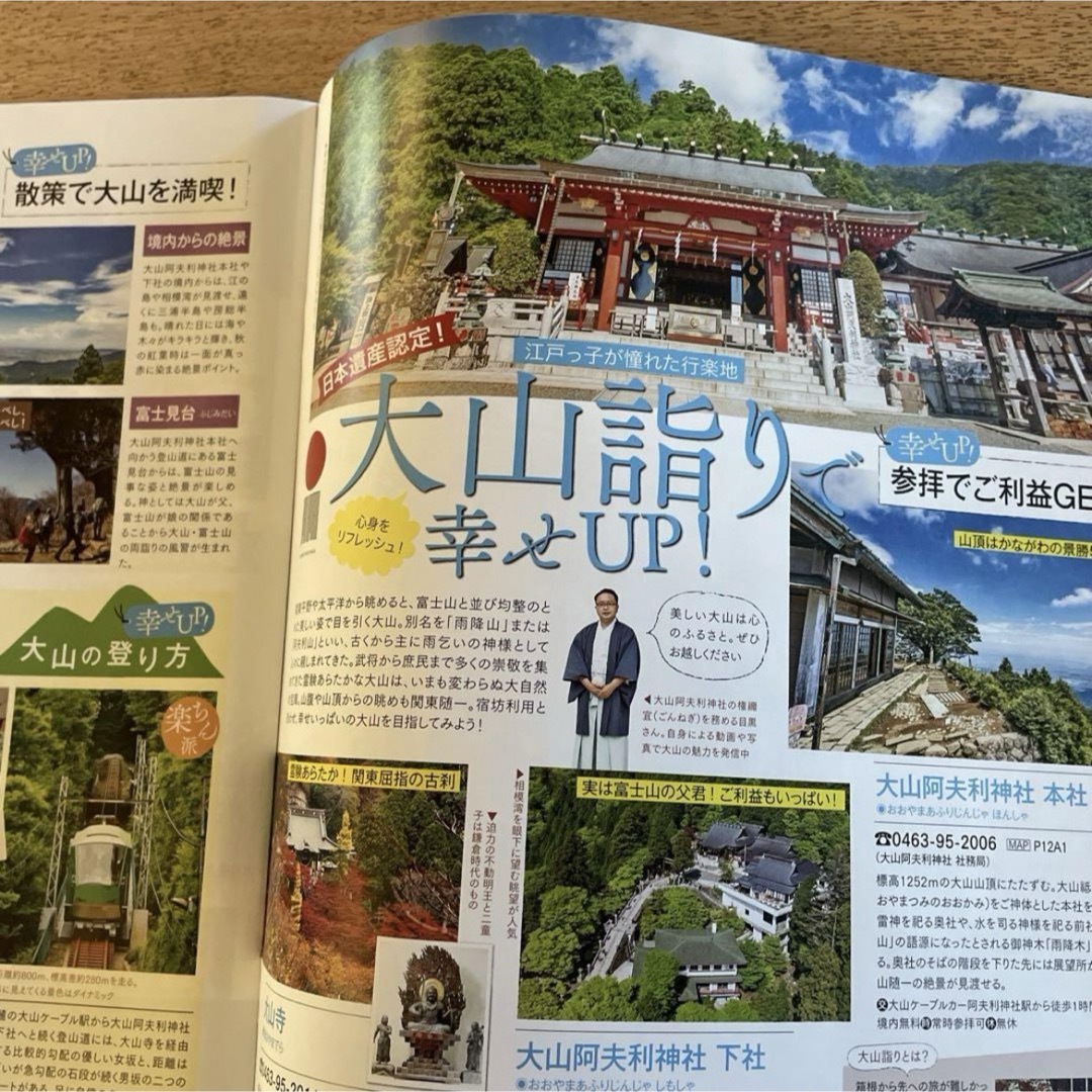 2種 るるぶ 大山宿坊体験 日本遺産 神奈川県伊勢原市ほか エンタメ/ホビーの本(地図/旅行ガイド)の商品写真