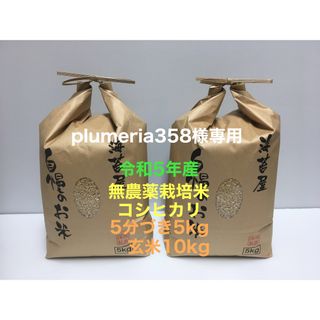 plumeria358様専用 無農薬コシヒカリ5分づき5kg、玄米15kg(米/穀物)