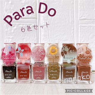 パラドゥ(Parado)のPara Do ミニネイル　 　　大人っぽネイル♡6色セット(マニキュア)