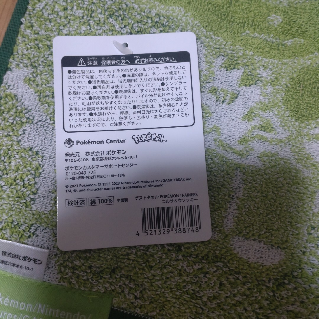ポケモン(ポケモン)のポケモントレーナーズ クリアファイル ＆ タオル セット アオキ チリ コルサ インテリア/住まい/日用品の文房具(ファイル/バインダー)の商品写真