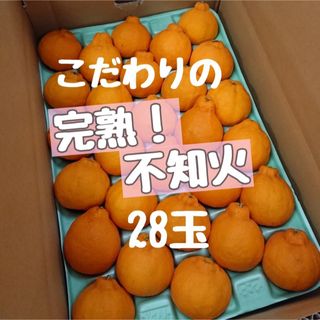 完熟不知火28玉 赤青秀品(フルーツ)