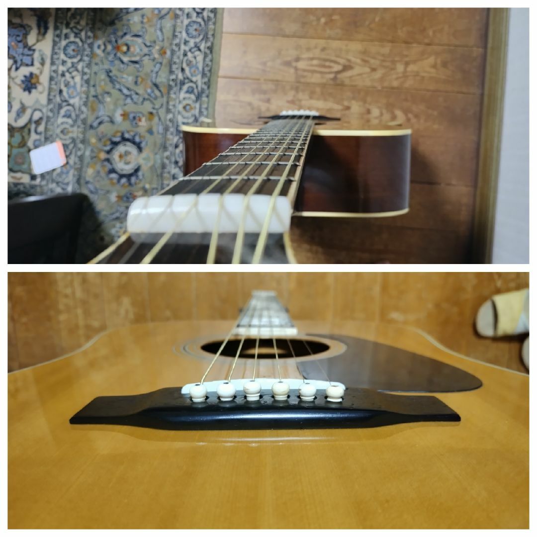 MORRIS(モーリス)のド渋旧ロゴ　ビンテージモーリス　80s気軽に使えるお手頃価格 楽器のギター(アコースティックギター)の商品写真