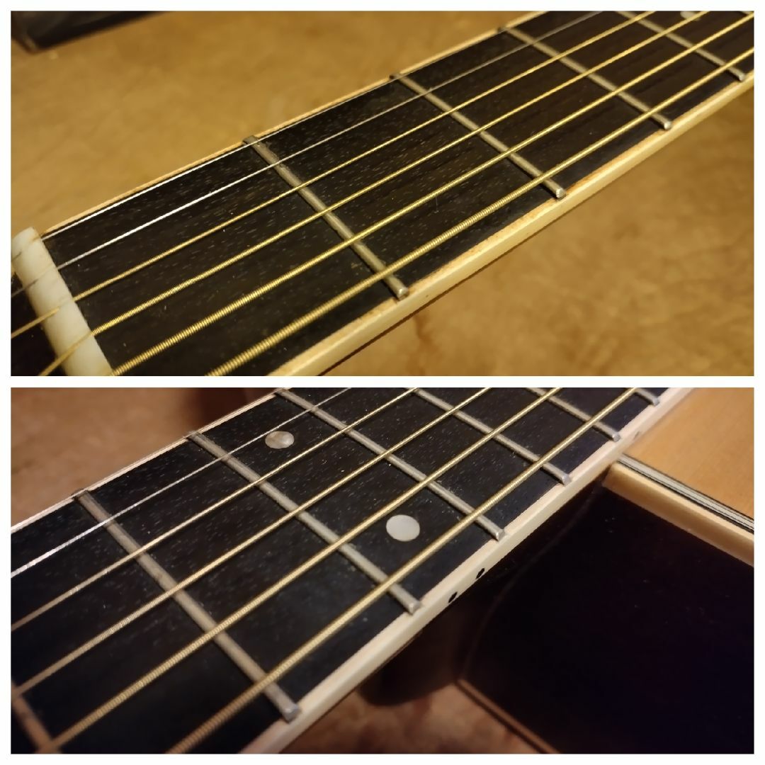 MORRIS(モーリス)のド渋旧ロゴ　ビンテージモーリス　80s気軽に使えるお手頃価格 楽器のギター(アコースティックギター)の商品写真