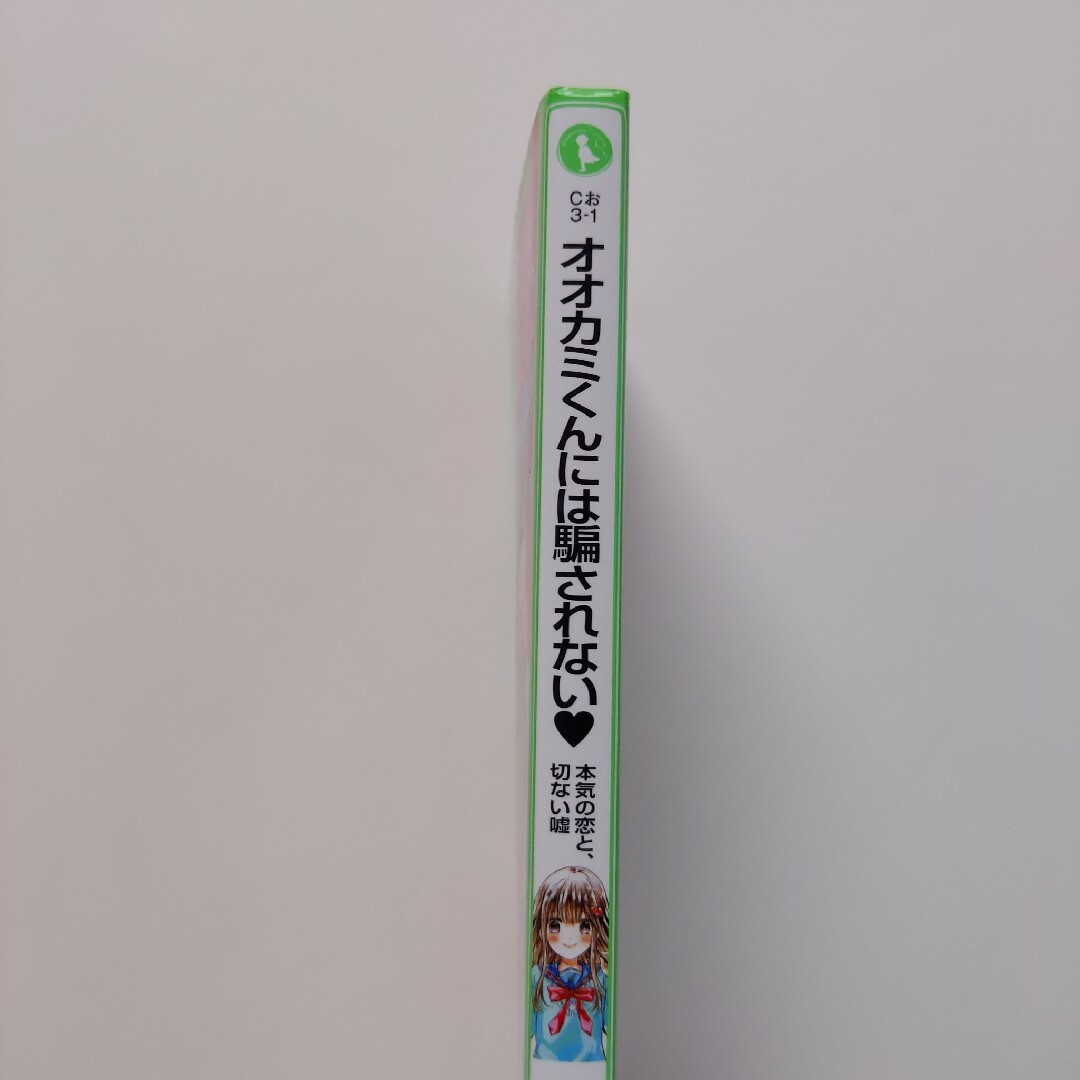 オオカミくんには騙されない 本気の恋と、切ない嘘 エンタメ/ホビーの本(文学/小説)の商品写真