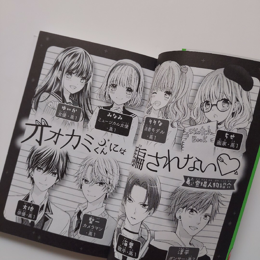 オオカミくんには騙されない 本気の恋と、切ない嘘 エンタメ/ホビーの本(文学/小説)の商品写真