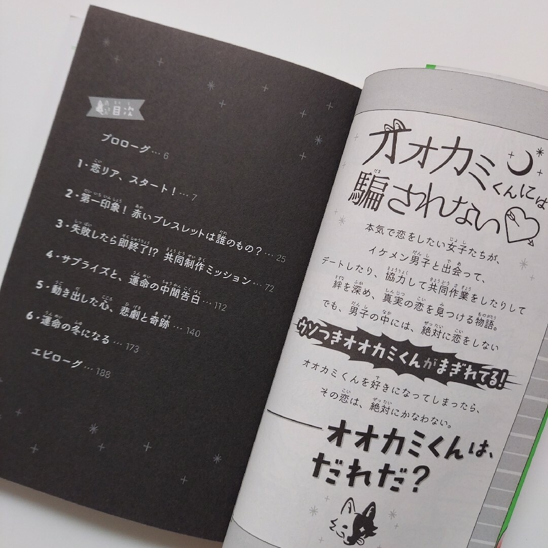 オオカミくんには騙されない 本気の恋と、切ない嘘 エンタメ/ホビーの本(文学/小説)の商品写真