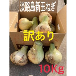 ★訳あり10Kg★淡路島新玉ねぎ　たまねぎ　玉葱(野菜)