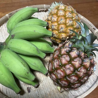 石垣島産　バナナ＆パイン(フルーツ)