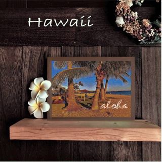 【送料無料】南国の風景☆HAWAII No.558  フレーム付  A4サイズ(アート/写真)