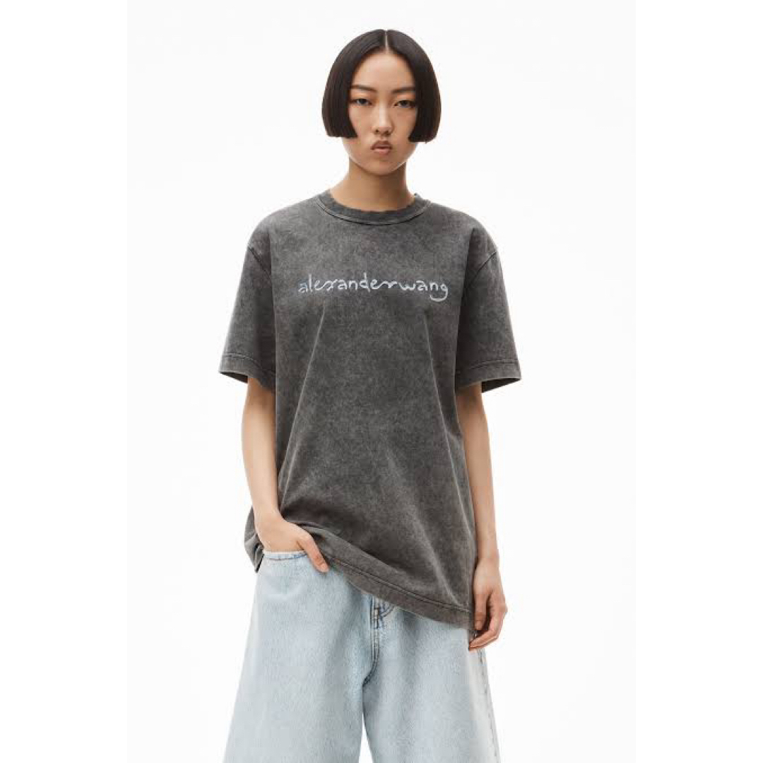 Alexander Wang(アレキサンダーワン)のモモ着用　アレキサンダーワン　ウォッシュTシャツ レディースのトップス(シャツ/ブラウス(長袖/七分))の商品写真