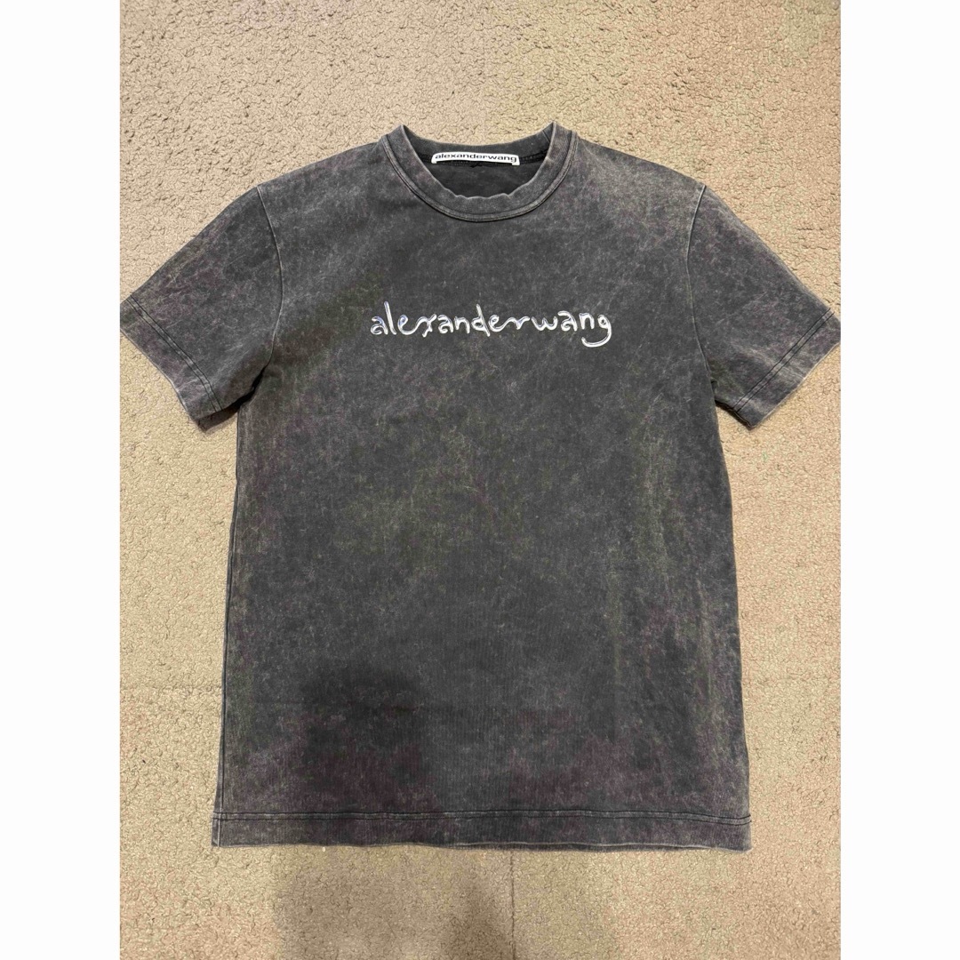 Alexander Wang(アレキサンダーワン)のモモ着用　アレキサンダーワン　ウォッシュTシャツ レディースのトップス(シャツ/ブラウス(長袖/七分))の商品写真