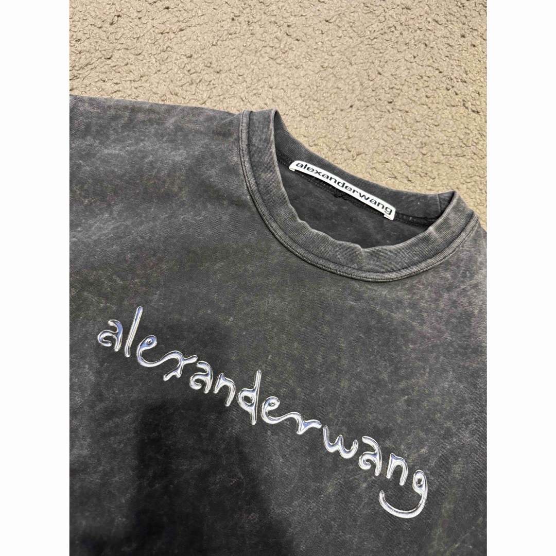 Alexander Wang(アレキサンダーワン)のモモ着用　アレキサンダーワン　ウォッシュTシャツ レディースのトップス(シャツ/ブラウス(長袖/七分))の商品写真