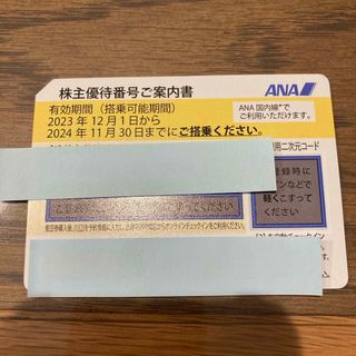 エーエヌエー(ゼンニッポンクウユ)(ANA(全日本空輸))のANA 株主優待券　1枚(航空券)