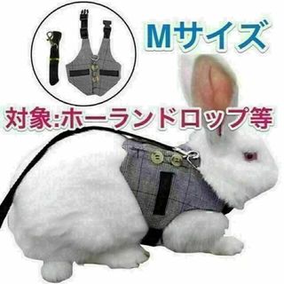 【ホーランドロップ等にお勧め】ハーネス リード Mサイズ(小動物)