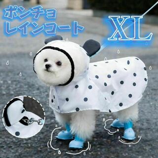 ✿新商品✿ XL 犬用レインコート ドット柄 パンダ ポンチョ カッパ 耳付き(犬)