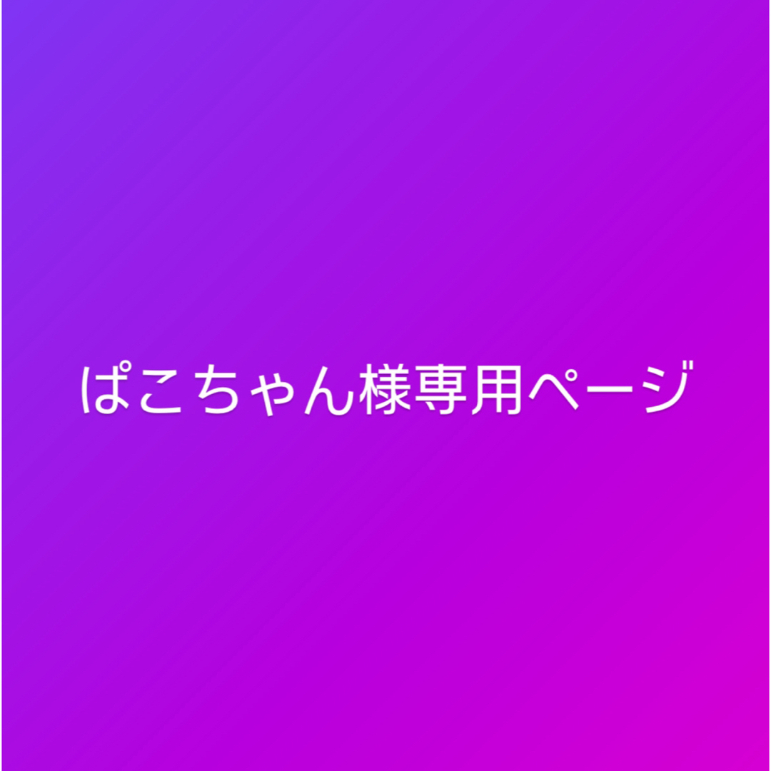 ぱこちゃん様専用ページ コスメ/美容のネイル(ネイル用品)の商品写真