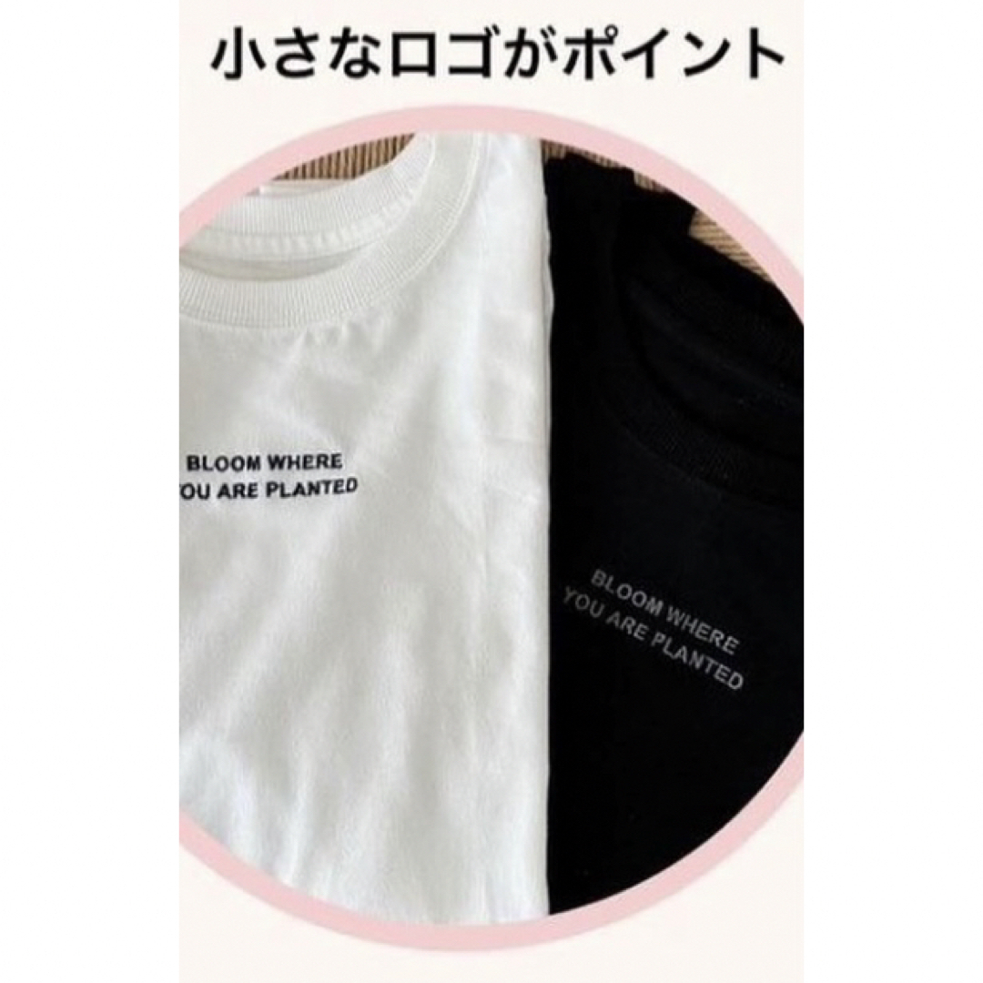 しまむら(シマムラ)のReaje 七分袖 Tシャツ カットソー MARIE レディースのトップス(Tシャツ(長袖/七分))の商品写真