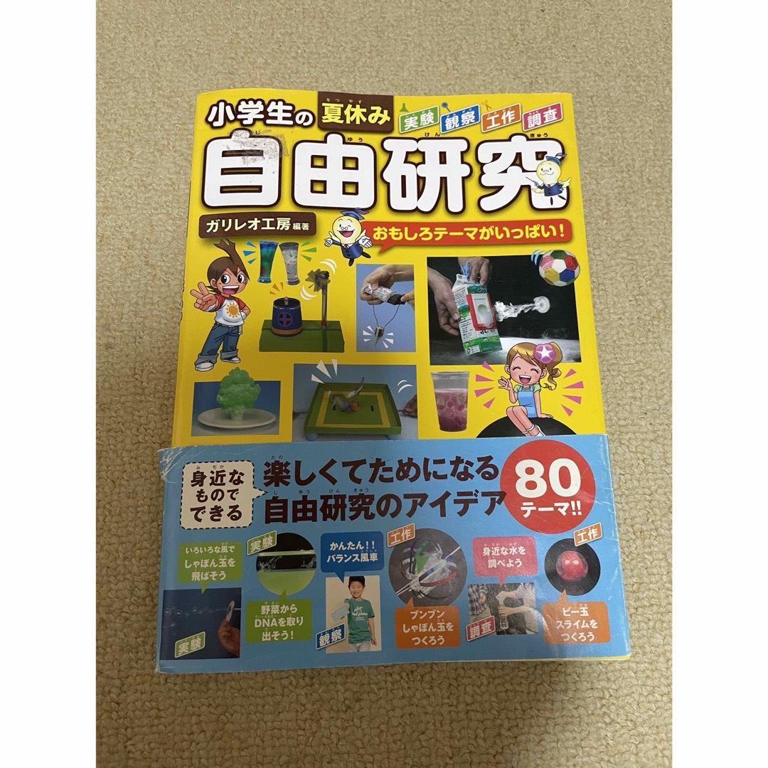 小学生の夏休み自由研究 エンタメ/ホビーの本(科学/技術)の商品写真