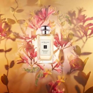 ジョーマローン(Jo Malone)のJo Malone London ジョーマローンロンドン ハニーサックル&ダバナ(ユニセックス)