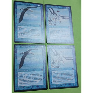 マジックザギャザリング(マジック：ザ・ギャザリング)のMTG Giant Albatross 4枚+Reef Pirates 4枚(カードサプライ/アクセサリ)