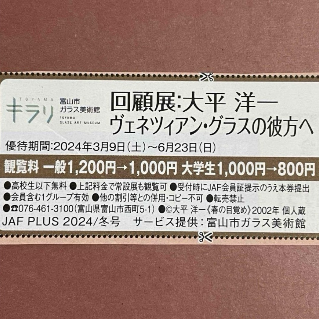 富山市ガラス美術館  回顧展 大平洋一 クーポン チケットの優待券/割引券(その他)の商品写真