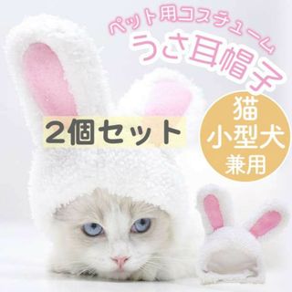 2個 うさ耳 帽子 ペット 犬 猫 2023 うさぎ 干支 年賀状 コスプレ(猫)