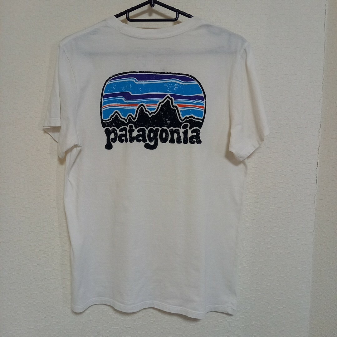 patagonia(パタゴニア)のパタゴニアTシャツ メンズのトップス(Tシャツ/カットソー(半袖/袖なし))の商品写真