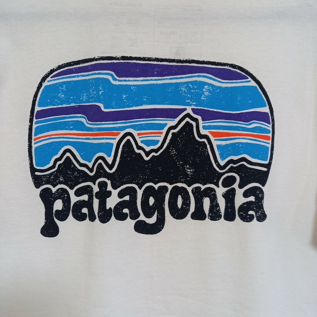 patagonia(パタゴニア)のパタゴニアTシャツ メンズのトップス(Tシャツ/カットソー(半袖/袖なし))の商品写真