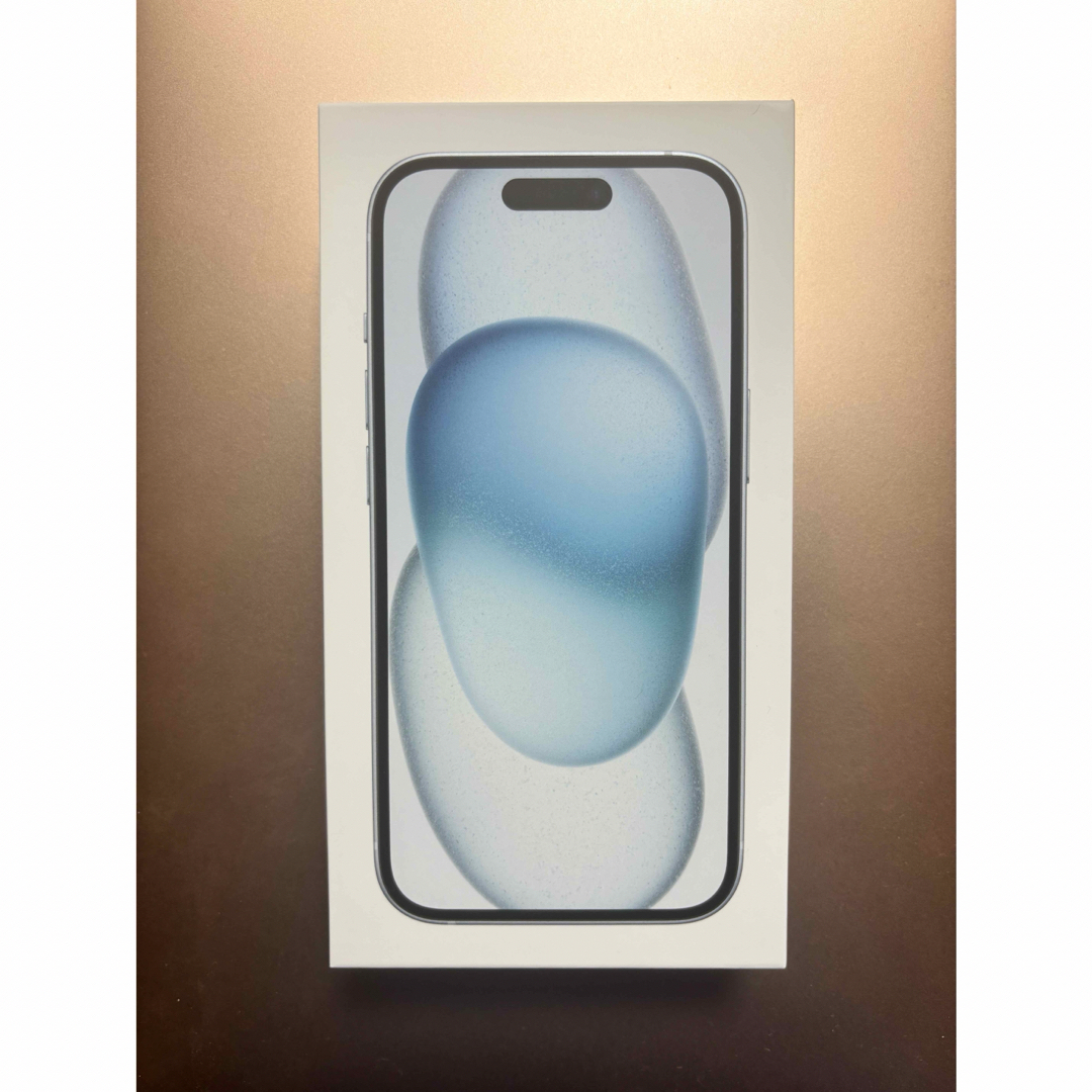 iPhone(アイフォーン)のiPhone15 外箱 スマホ/家電/カメラのスマホアクセサリー(その他)の商品写真