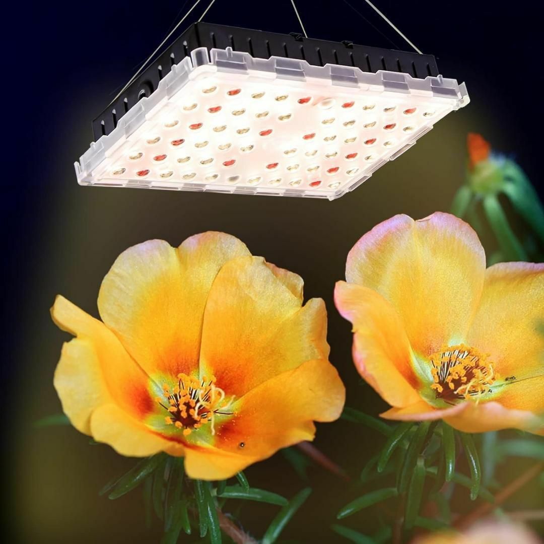 LED植物育成ライト②植物栽培ライト フルスペクトル4000K 赤色光 LED植物育成ライト②植物栽培ライト フルスペクトル4000K 赤色光