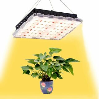 LED植物育成ライト②植物栽培ライト フルスペクトル4000K 赤色光 観葉植物(シングルベッド)
