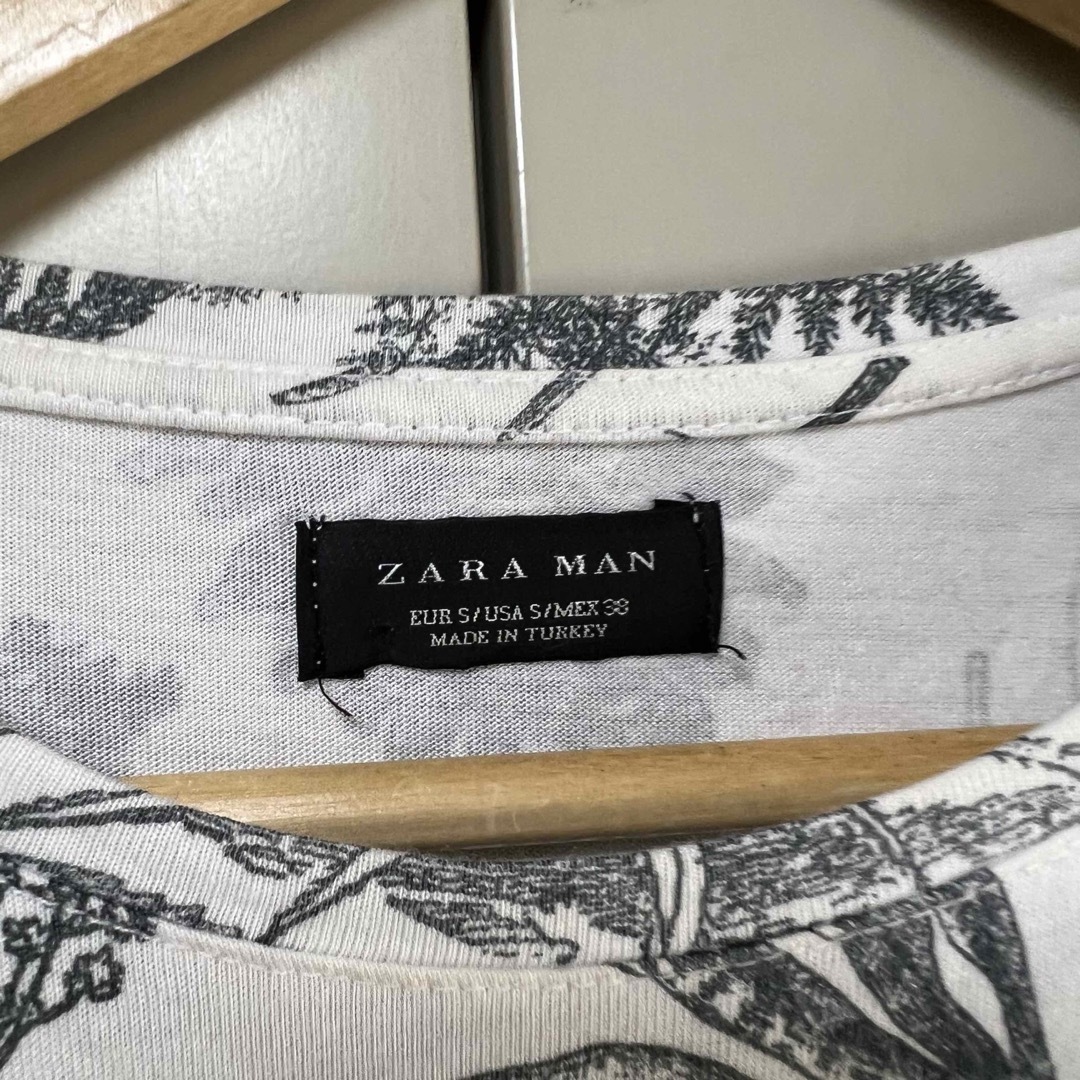 ZARA(ザラ)のザラマン　ZARA メンズカットソー メンズのトップス(Tシャツ/カットソー(半袖/袖なし))の商品写真