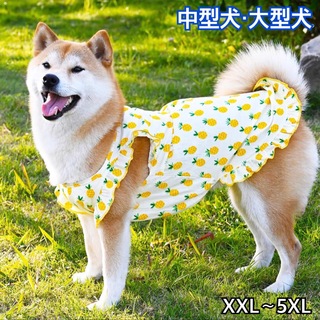 犬服 ペット服 中型犬 大型犬 春夏 パイナップルワンピース :3XL〜5XL(犬)