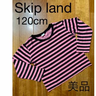 スキップランド(Skip Land)の子供服　女の子　スキップランド　長袖　ボーダー　ロンT トップス　ピンク　120(Tシャツ/カットソー)