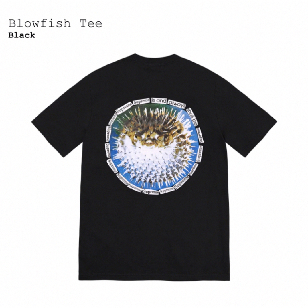 Supreme(シュプリーム)の【黒XXL】Blowfish Tee  SUPREME メンズのトップス(Tシャツ/カットソー(半袖/袖なし))の商品写真