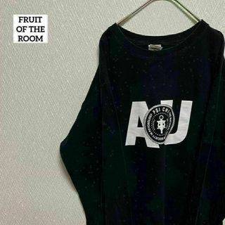 フルーツオブザルーム(FRUIT OF THE LOOM)のFRUIT OF THE ROOM フルーツオブザルーム ロンT 長袖 L(Tシャツ/カットソー(七分/長袖))