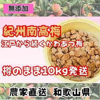 限定！ 紀州南高梅 樽 10kg かわあつ梅 無添加 和歌山 紀州 白梅(漬物)