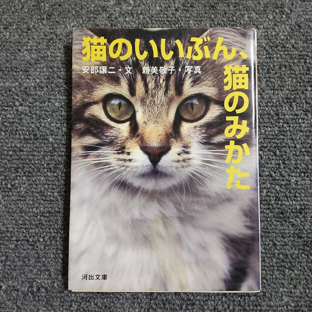 猫のいいぶん、猫のみかた　河出文庫 エンタメ/ホビーの本(住まい/暮らし/子育て)の商品写真