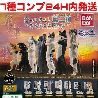 [7種コンプ]帰ってきた!厨二猫　別毛色自己像幻視　ガチャ　ガシャポン　厨二病猫(その他)