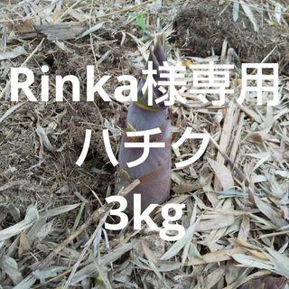 Rinka様　ハチク約3kg 新鮮 農薬不使用(野菜)