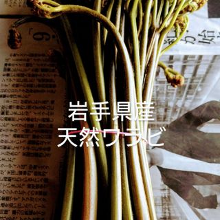 岩手県産　天然　ワラビ　500g(野菜)